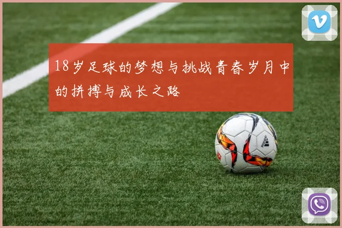 18岁足球的梦想与挑战青春岁月中的拼搏与成长之路