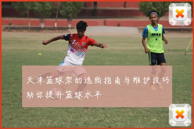 天津篮球架的选购指南与维护技巧助你提升篮球水平